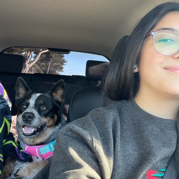 Meet your Posher, D.D. - Picture 6 of 12